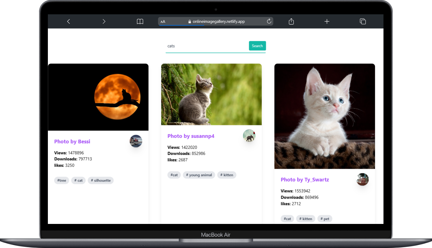 Online Image Gallery PC view